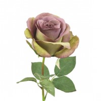 Rose "Larissa" Rose "Larissa"