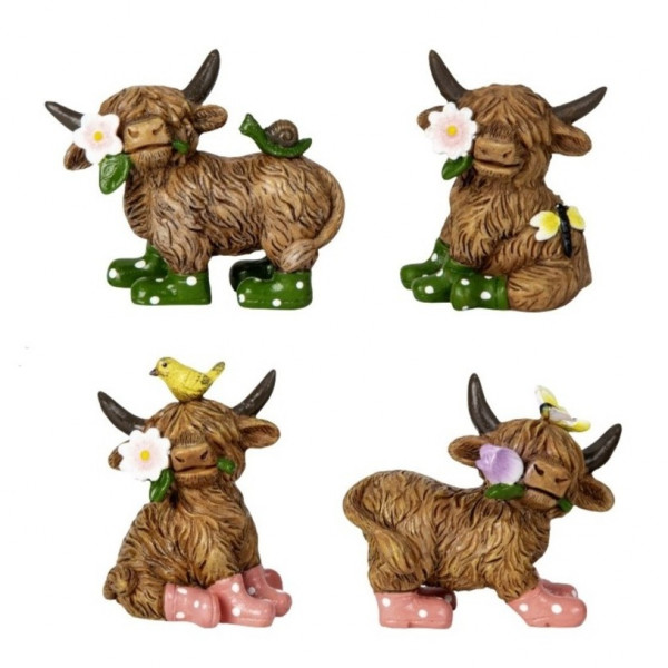 Niedliche Poly-Hochlandrinder 4f. Sort.