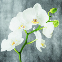 20 Servietten "White Orchid" 20 Servietten "White Orchid"