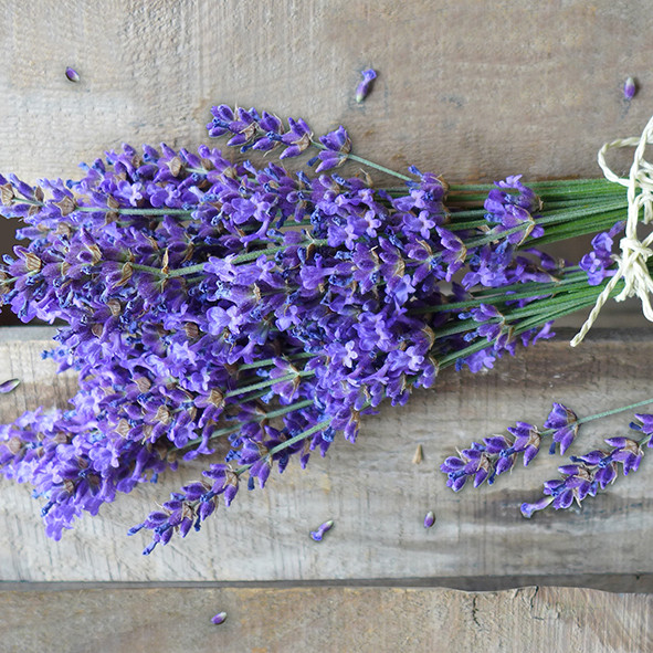 Serviette Natural Lavender