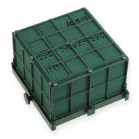 Oasis Auto-Corso Oasis Auto-Corso