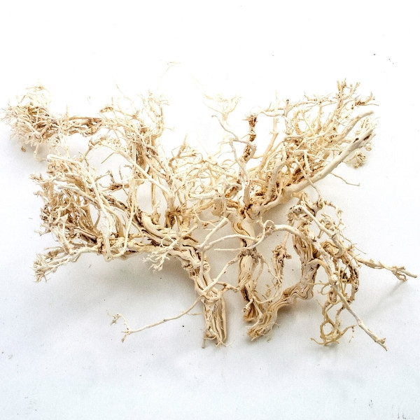Dry Tree