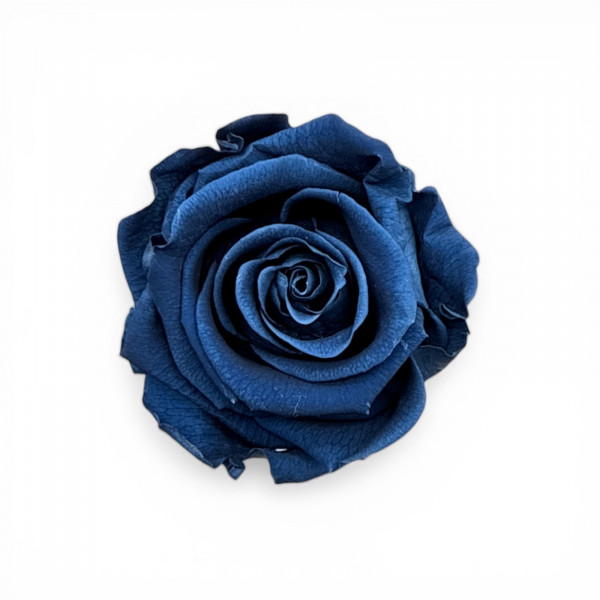 Stabilisierte Rosenköpfe "Verdissimo" medium