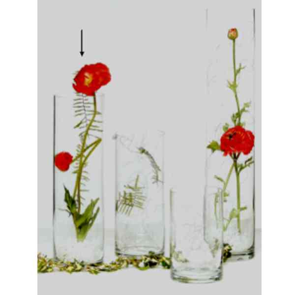 Glas "ZYLINDRO 19cm"