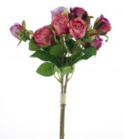 Rose "Sai" verzweigt 4 Blüten p. Stiel Rose "Sai" verzweigt 4 Blüten p. Stiel