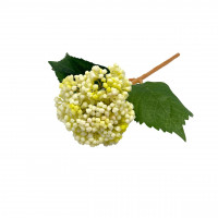 Schneeballen Schneeballen