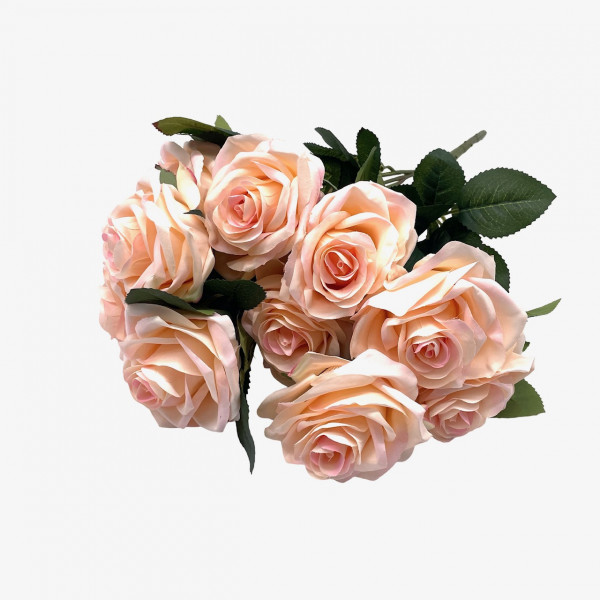 Rosenbusch "Dijon" x10