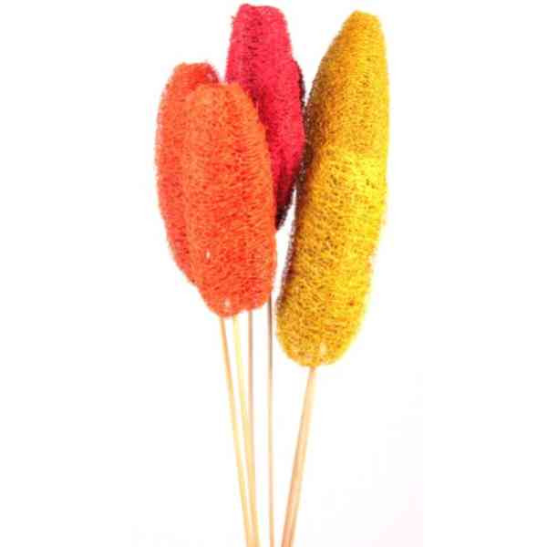 Luffa angestielt Umkarton 60cm