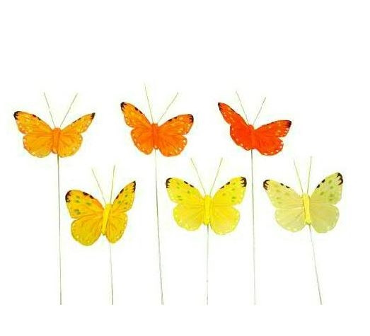 Federschmetterling 6f sort.