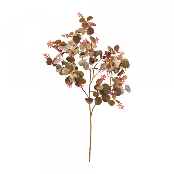 Vorbestellung: (435) Eucalythuszweig