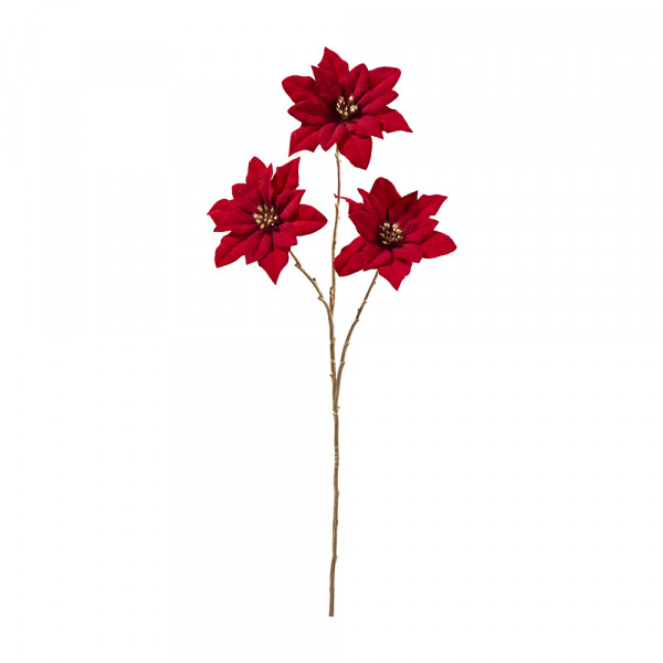 Vorbestellung: (529) Mini Poinsetia x 3