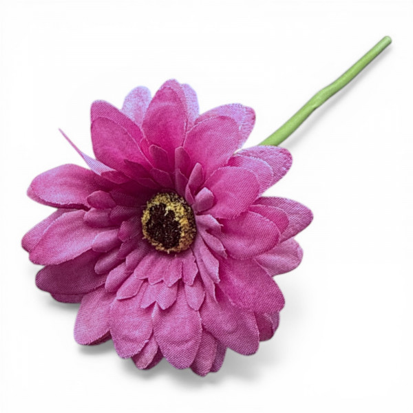 Mini-Gerbera