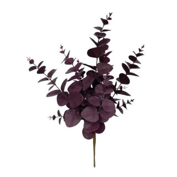 (ab 15.9. erhältlich) Eucalypthus Busch