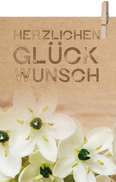 Karte MINI "cottage" - "Herzlichen Glückwunsch" m. Klammer