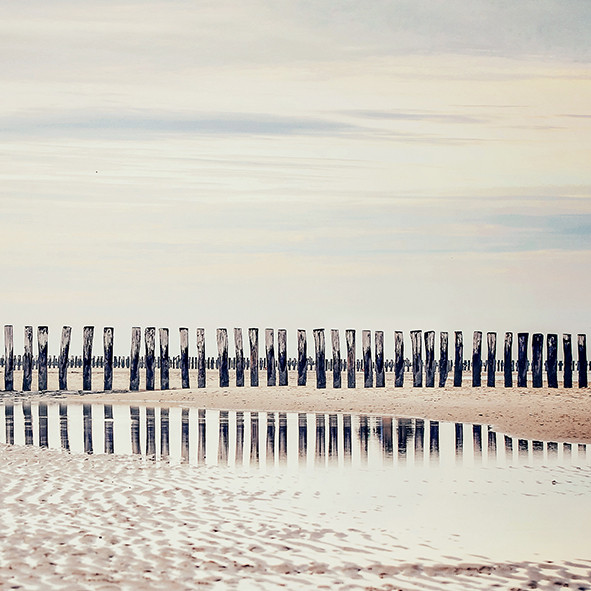 20 Servietten Wattenmeer