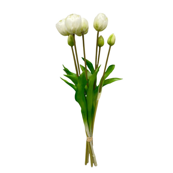 Tulpen-Bündel x7