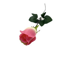 Rose "Lexa" Rose "Lexa"