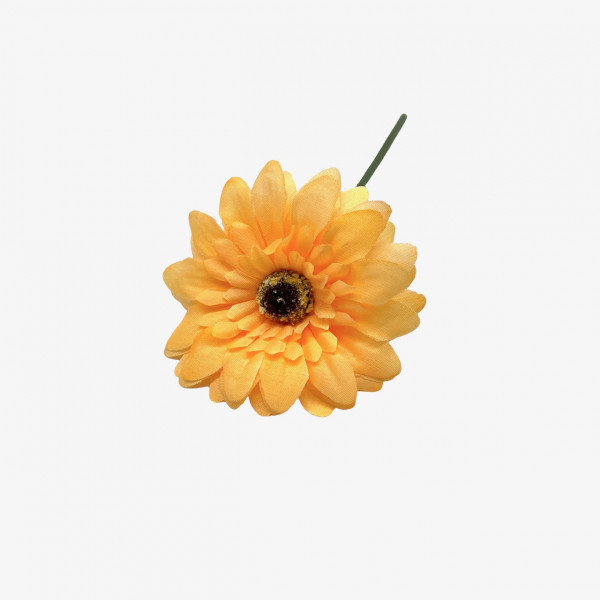 Mini-Gerbera