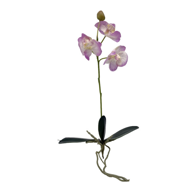 Mini Orchidee mit Blatt
