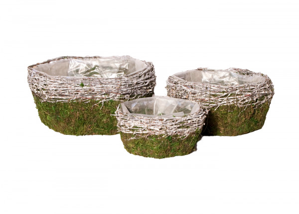 Moos-Pflanzherz Set/3