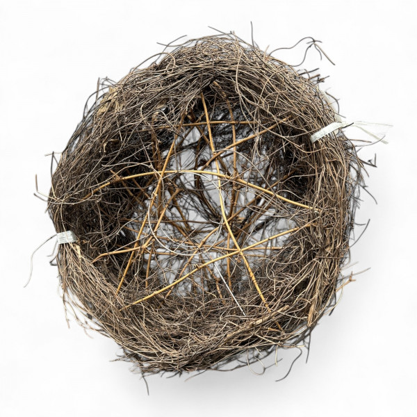 Rebenmanschette rund