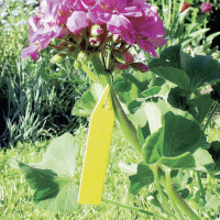 Bindeetiketten, 25er-Beutel Bindeetiketten, 25er-Beutel