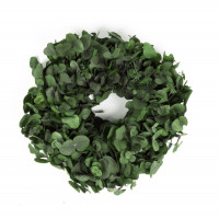 Eukalyptus-Kranz Silverdollar präpariert Eukalyptus-Kranz Silverdollar präpariert