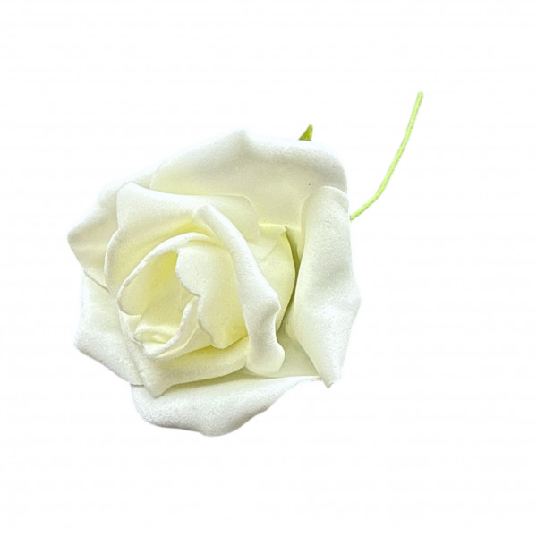 Schaumrose