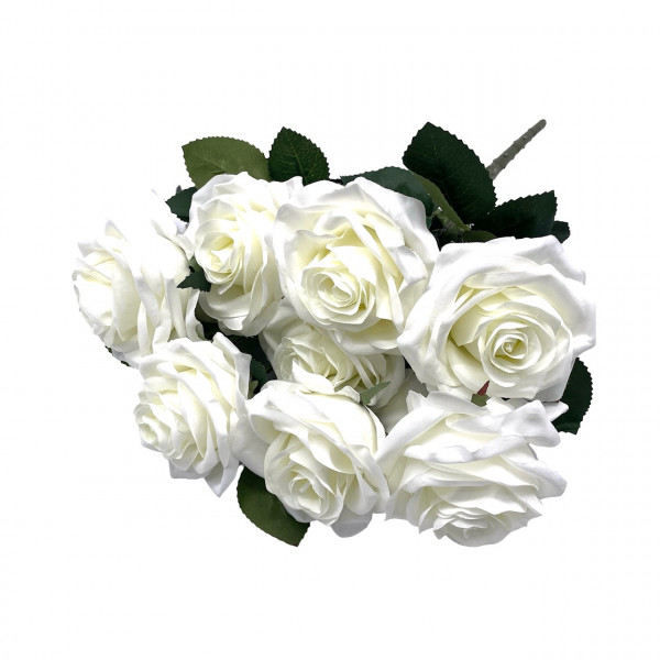 Rosenbusch "Dijon" x10