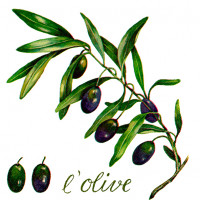 20 Servietten L'Olive 20 Servietten L'Olive
