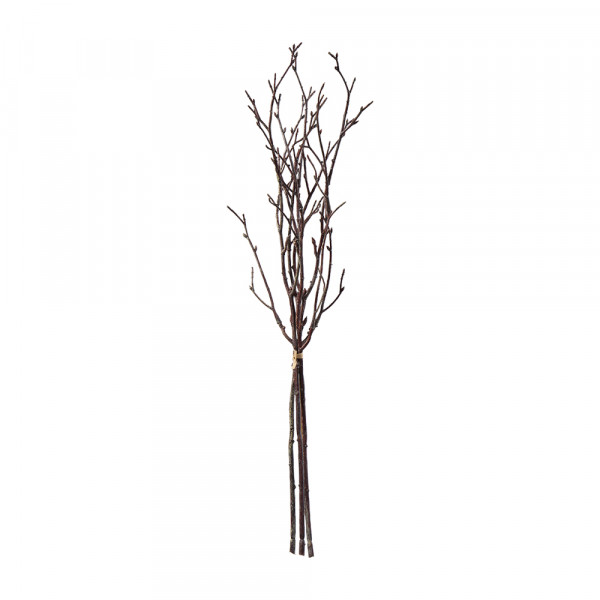 Vorbestellung: (444) Zweigbündel x3