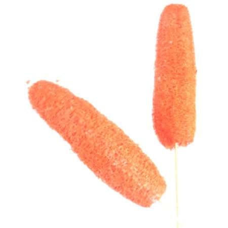 Luffa angestielt