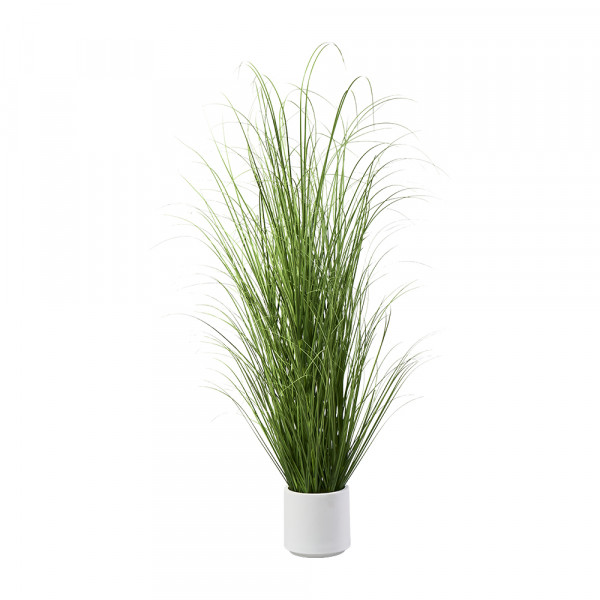 (336) Grass im Topf