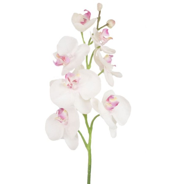 &quot;Real touch&quot; Orchidee