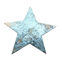 Kokos-Stern Hartschale 5cm Kokos-Stern Hartschale 5cm