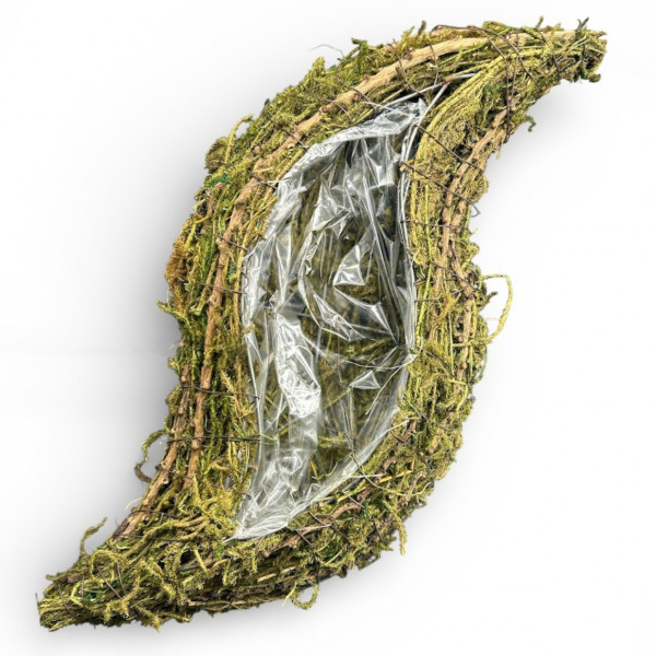 Moosschiffchen "Atlantis"