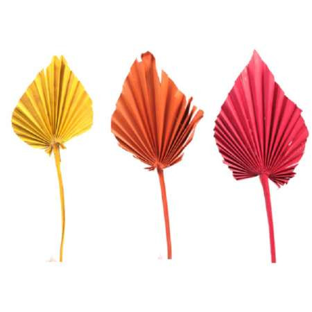Palmspear Mix