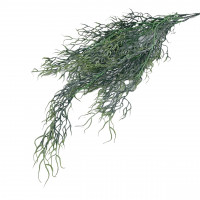 Farn-Busch Farn-Busch