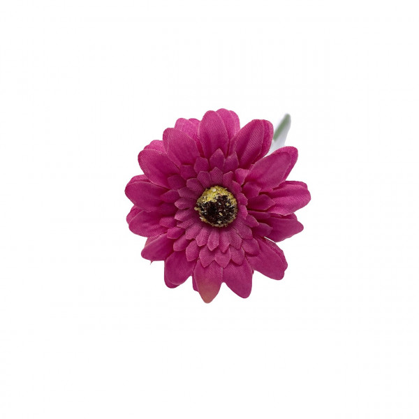 Mini-Gerbera