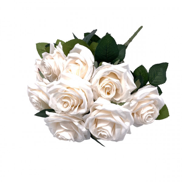 Rosenbusch "Dijon" x10