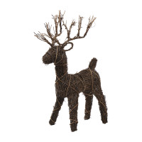 Rebe-Hirsch Rebe-Hirsch