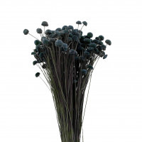 Botao Branco 100gr. Botao Branco 100gr.