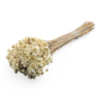 Glixia 100gr. Glixia 100gr.