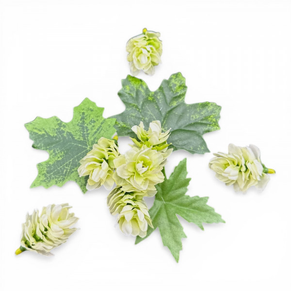 Hopfenblüten mit Blätter