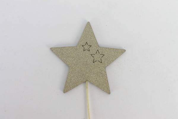 Stern Shiny Stecker