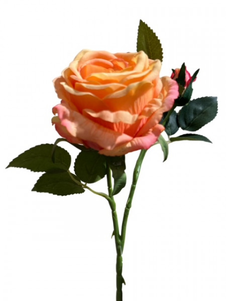 Rosenzweig "Leonore"