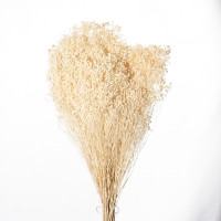 Broom Bloom 100gr. Broom Bloom 100gr.