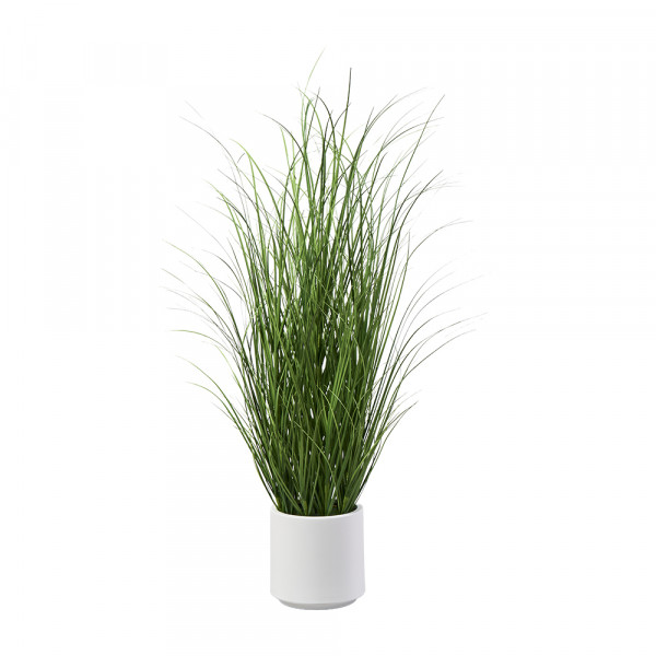 (334) Grass im Topf